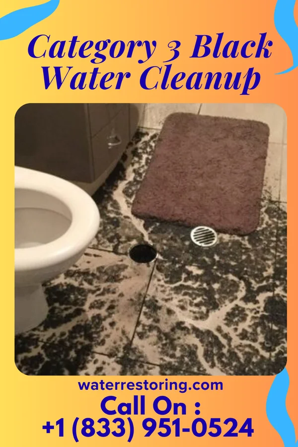 Category 3 Black Water Cleanup in Seven Springs, PA
