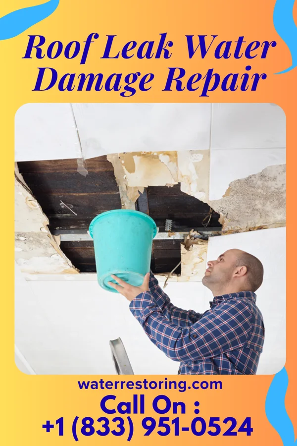 Roof Leak Water Damage Repair in Seven Springs, PA
