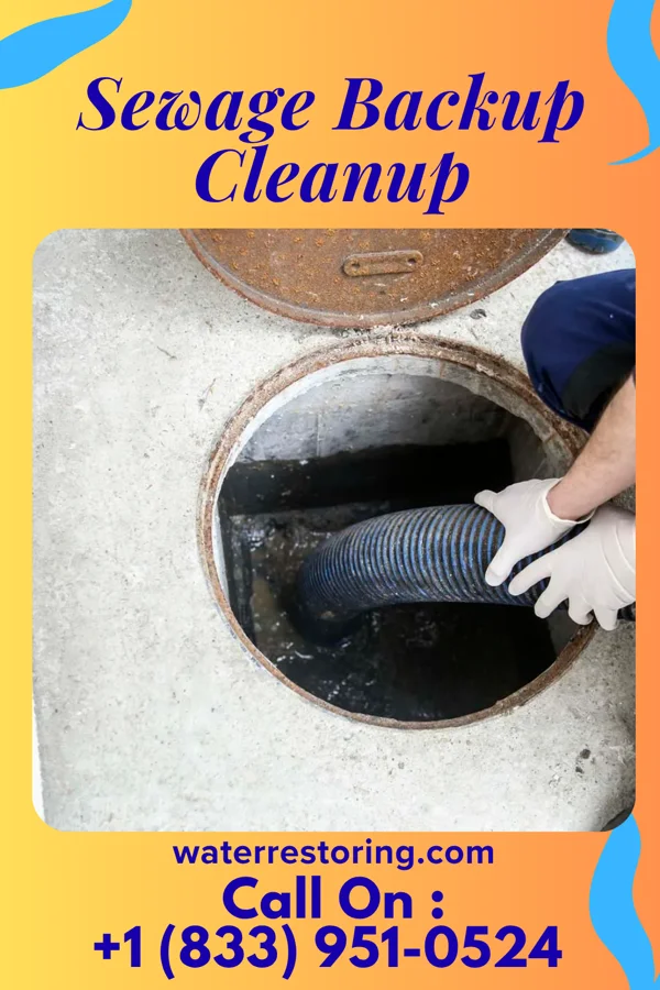 Sewage Backup Cleanup in Seven Springs, PA