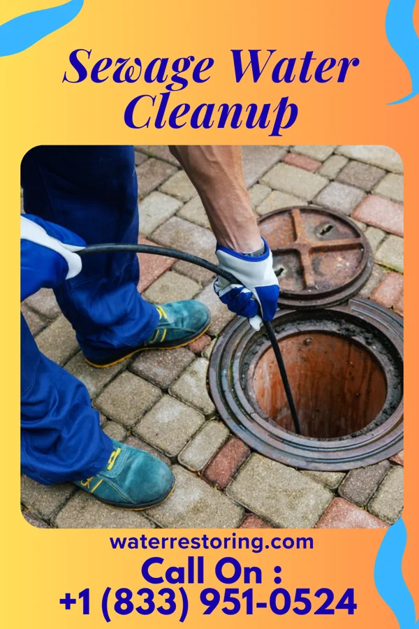 Sewage Water Cleanup in Seven Springs, PA
