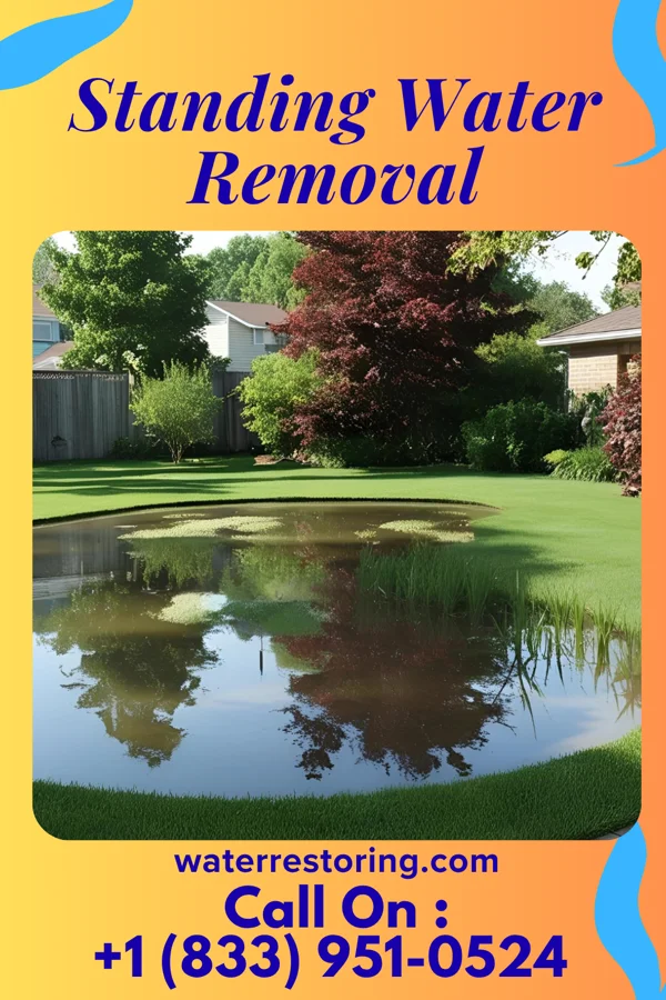 Standing Water Removal in Seven Springs, PA